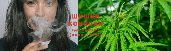 spice Гусь-Хрустальный