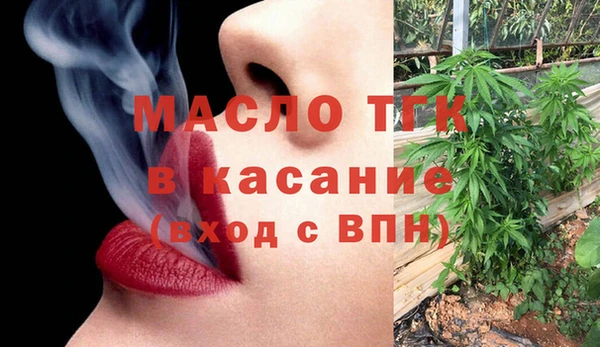 эйфоретик Гусев