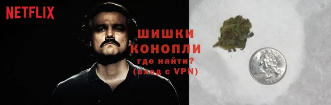 эйфоретик Гусев