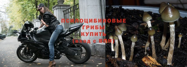 эйфоретик Гусев