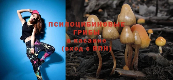spice Гусь-Хрустальный