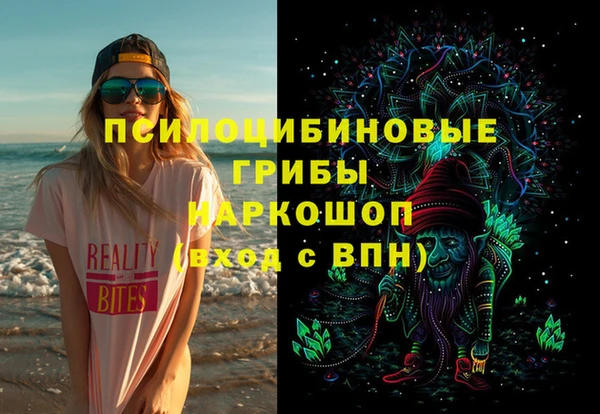эйфоретик Гусев