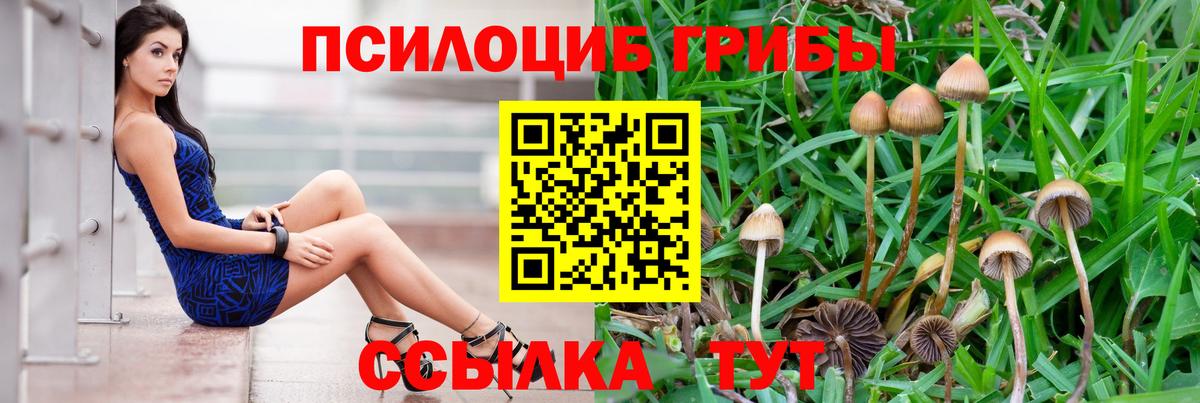 Псилоцибиновые грибы ЛСД  наркотики  Галлюциногенные грибы Magic Shrooms  Коломна  Вход с VPN 